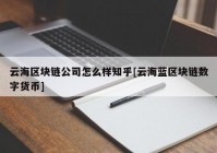 云海区块链公司怎么样知乎[云海蓝区块链数字货币]