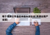 哪个浪潮公司是区块链头部企业[浪潮全国产业园]